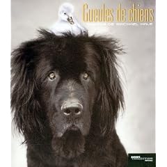 Gueules de chiens (Ancien prix Editeur: 13 Euros )