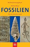 Fossilien: Über 500 Versteinerungen