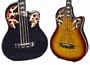 4 String Acoustic Electric Bass with Feather Detailing from Dillion, Tiger Wine Tiger Maple Top