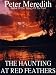 The Haunting At Red Feathers