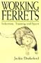 Working Ferrets Selection,Training and Sport
