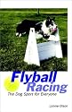 Flyball Racing: The Dog Sport for Everyone