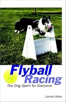 Flyball Racing: The Dog Sport for Everyone