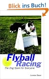 Flyball Racing: The Dog Sport for Everyone