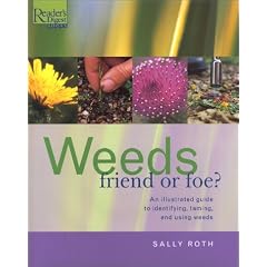 Weeds: Friend or Foe?