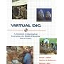 Virtual Dig: A Simulated Archaeological Excavation of a Middle Paleolithic Site in France