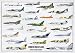 Poster Modern Warplanes - Rolled