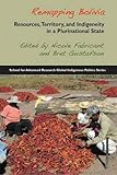 Remapping Bolivia : resources, territory, and indigeneity in a plurinational state
