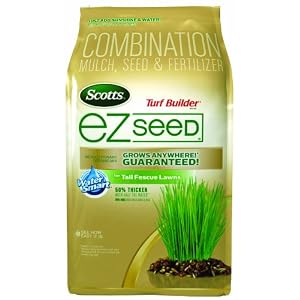 buy lawn grass seed