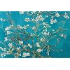 Almond Blossom Poster Print by Vincent van Gogh, 36x24 Floral & Botanical Poster Print by Vincent van Gogh, 36x24
