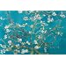 Almond Blossom Poster Print by Vincent van Gogh, 36x24 Floral & Botanical Poster Print by Vincent van Gogh, 36x24