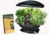 AeroGarden Gourmet Herbs Seed Kit