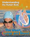 The heart, lungs and blood