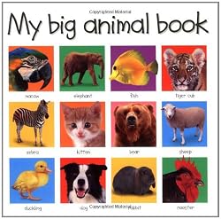 My Big Animal Book ($5.95) (Priddy Bicknell Big Ideas for Little People)