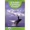 Alaska Books for Children 4-8