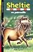 Livres : Sheltie, Tome 16 : Sheltie en patrouille