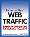 Increase Your Web Traffic in a Weekend