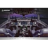 C-17 Globemaster III Flight Deck Poster
