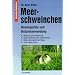 Wichtige Meerschweinchen Ratgeber