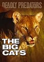 Deadly Predators - The Big Cats [DVD]
