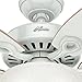 Hunter Fan Company 53089 Builder Deluxe Indoor Ceiling Fan with LED Light and Pull Chain Control, 52