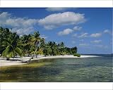 Photographic Prints of Main dive site in Belize, Ambergris Caye, Belize, Central America from Robert Harding Reviews 51JKKzAp 2L. SL160 Photographic Prints of Main dive site in Belize, Ambergris Caye, Belize, Central America from Robert Harding Reviews