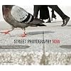 Street Photography Now: with 301 photograhs in color and black-and-white