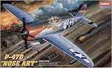  : P-47D Nose Art US Army Air Force Fighter 1-48 by Academy