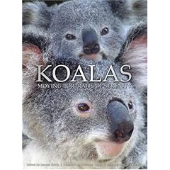 Koalas: Moving Portraits of Serenity