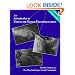 An Introduction to Satellite Image Interpretation