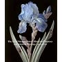 The Art of Natural History: Illustrated Treatises and Botanical Paintings, 1400-1850 (Studies in the History of Art Series)
