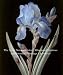 The Art of Natural History: Illustrated Treatises and Botanical Paintings, 1400-1850 (Studies in the History of Art Series)