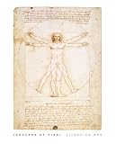 Kitchen & Housewares : Leonardo Da Vinci (Vitruvian Man) Art Poster Print - 16' X 20'