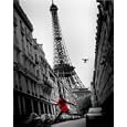 D�tails sur le produit