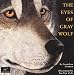 The Eyes of Gray Wolf