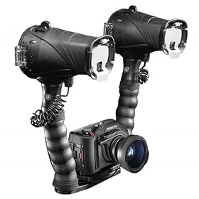 Click here to buy SeaLife DC1200 MAXX 12MP Digital Underwater Camera, 24mm Lens, Dual Strobes & Hard... by SeaLife.