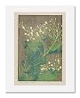 Edna Boies Hopkins, Sea Cabbage
