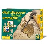 Ammonite - Dig and Discover