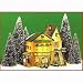 Department 56 Dickens Village The Grape's Inn 57534