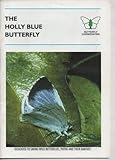 The Holly Blue butterfly