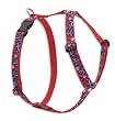 Lupine Large Dog Harness - Wave Hound 24-38"