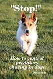 "Stop!" How to Control Predatory Chasing in Dogs