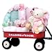 New Baby Girl Gift Wagon - Great Shower Basket or Christmas Holiday Gift Idea for Newborns