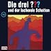 Produkt-Bild: 013/und der lachende Schatten