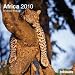 2010 Africa Wall Calendar