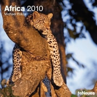 2010 Africa Wall Calendar