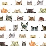 Entertaining with Caspari Gift Wrapping Paper, Kitties, 2-Sheets