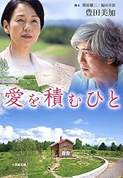 愛を積むひと (小学館文庫)