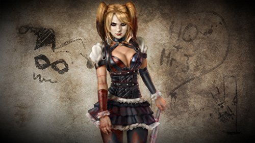 Harley Quinn Batman Arkham City Fabric Cloth Rolled Wall Poster Print -- Size: (43