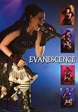 Evanescence Amy Lee Performance Pics 24x34 Poster
